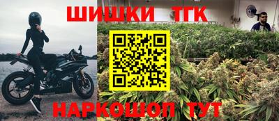 гашик Тула