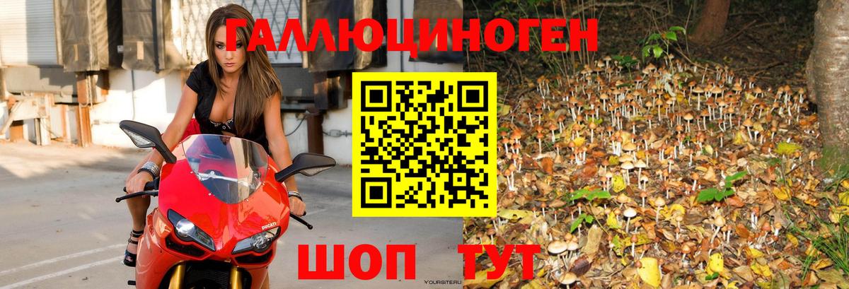 Новочеркасск  Псилоцибиновые грибы Psilocybe  Галлюциногенные грибы мухоморы  Вход с VPN 